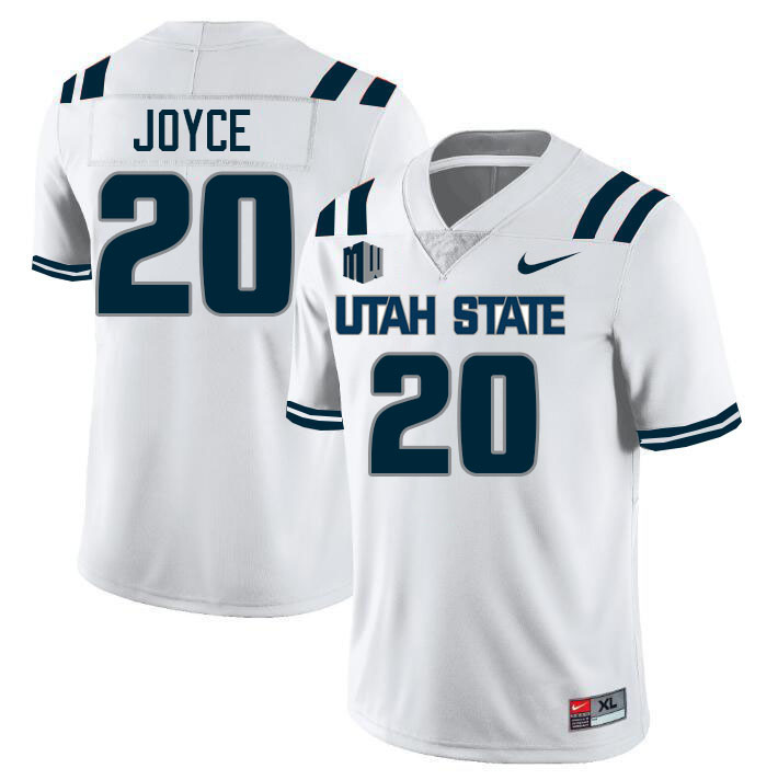 Utah State Aggies #20 Cole Joyce College Football Jerseys Stitched Sale-White